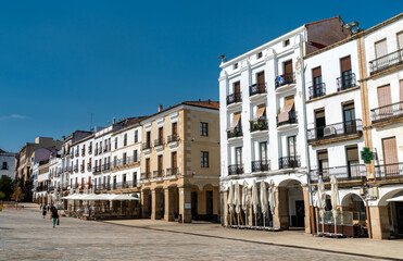 Fototapeta na wymiar Architecture of Caceres in Spain