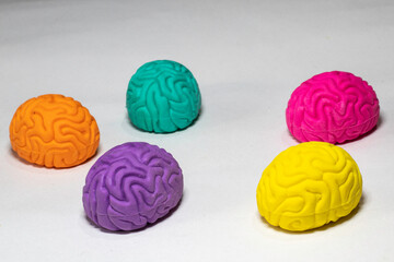 cerebros de colores