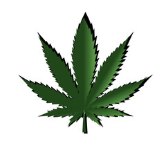 Cannabis leaf vector