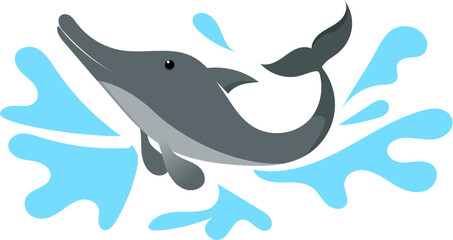 Obraz premium dolphin And water splashing