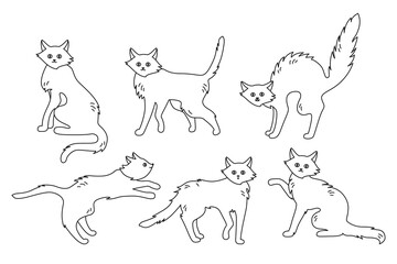 Cat active poses, black contour doodle set. Healthy cartoon kitten, cute or scary, angry wicked thin cats Halloween collection. Funny playing character pet wild kitty design. Vector illustration