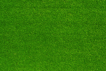 Green grass texture and background use for copy space