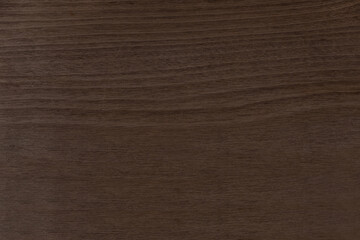 Dark brown and moldy wood on surface for texture and copy space in background