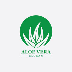 Green plant aloe vera logo vector icon symbol many benefits