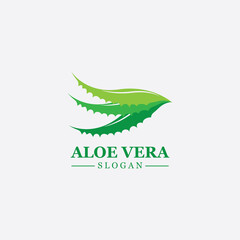 Green plant aloe vera logo vector icon symbol many benefits