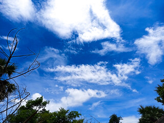 Obraz premium sky and clouds