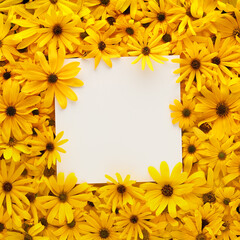 Wall of bright yellow flowers with square blank white card for copy space.