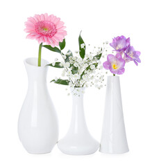 Beautiful fresh flowers in vases on white background
