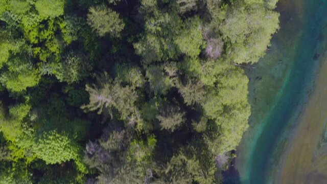 Flying Above Treetops looking down and that eventually leads to a blue lake shore