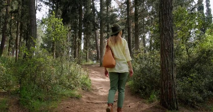 back view of traveling young woman with backpack walking in the forest and enjoying nature, finding inner balance concept.