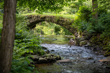 Historic stone bridge over stream in summer forest - Czech Republic, Europe