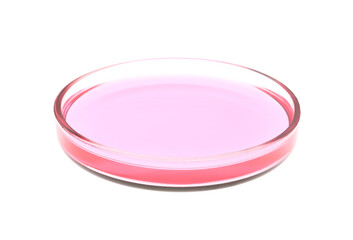 Petri dish with pink liquid isolated on white