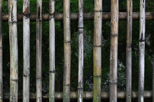 old bamboo fence