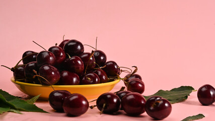 Ripe cherries with stalks and leaves on pink background.