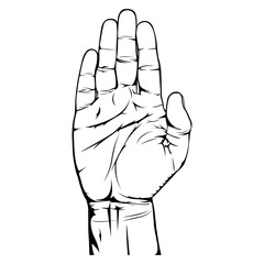 Open hand gesture illustration on white background