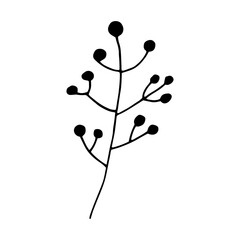 abstract plant icon. hand drawn doodle. vector, scandinavian, nordic, minimalism, monochrome. plant, herbarium.