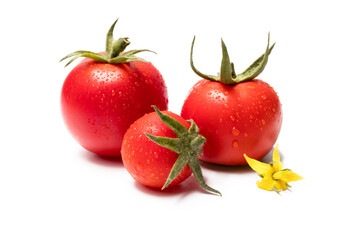 very fresh tomatoes presented on white background with flowers and water drops