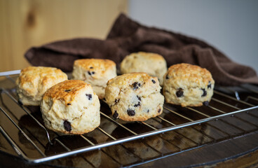 Chocolate chip scones on the cooling rack on a wooden background.