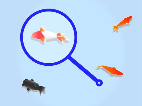 1 873 Best 金魚すくい Images Stock Photos Vectors Adobe Stock 1 873 Best 金魚すくい Images Stock Photos Vectors Adobe Stock