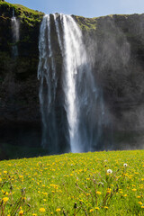 Der Wasserfall Seljalandsfoss liegt im Süden von Island. Der Fluss Seljalandsá stürzt hier 66 m...
