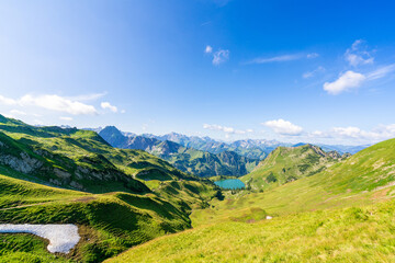 In hot summer, sun shines on the rolling mountains, full of life. panorama