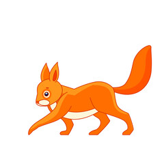 The orange squirrel walks. Cartoon character of a small mammal animal. A wild forest creature with red-red fur. Side view. Vector illustration in a flat style, isolated on a white background