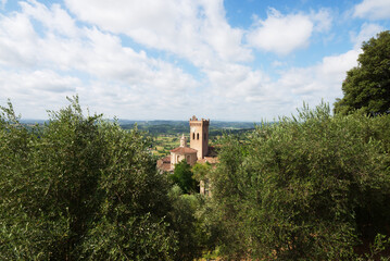 Fototapeta na wymiar Vista panoramica del borgo di San Miniato, Duomo e campagna. Toscana Italia Europa.