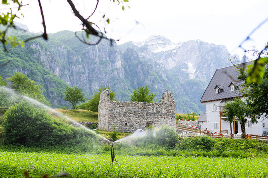 Shot of a watering plants in Theti National park in Albania