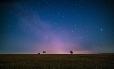Naklejka na ściany i meble Low angle view of the colorful Milky Way in the starry sky above the fields