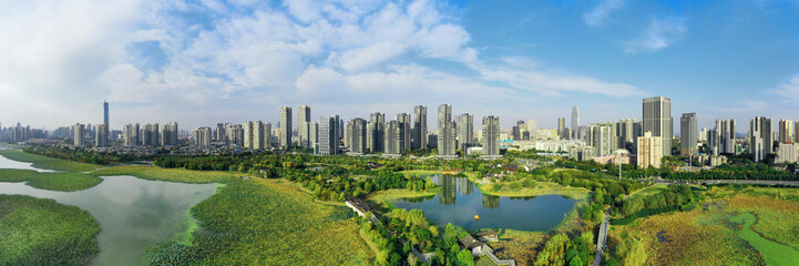 A green river by the city with tall buildings under the blue sky and white clouds, the combination of nature and modernity © Wheat field