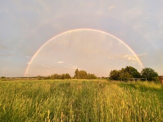 Naklejka premium rainbow over field