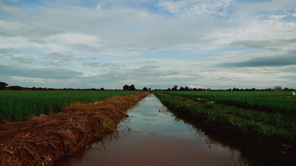 landscape with a river