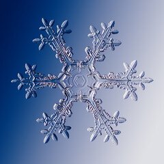 Real snowflake on blue background