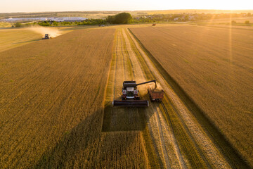 Combine harvester and truck on the field at sunset. Aerial view