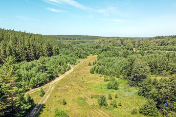 Fototapeta na wymiar Top view of the forest road on a summer day