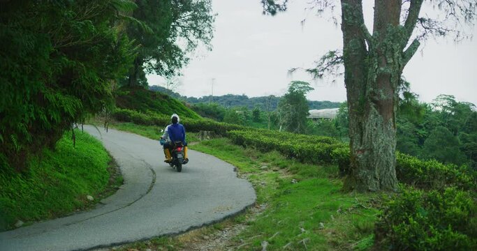 Curvy Roads Of The BOH Tea Plantation in Cameron Highlands, Malaysia 