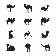 camel icon design various styles