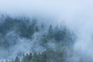 Fototapeta na wymiar Fog and clouds in the woods of the Anzasca Valley, in the Italian Alps, near the town of Macugnaga, Italy - June 2021