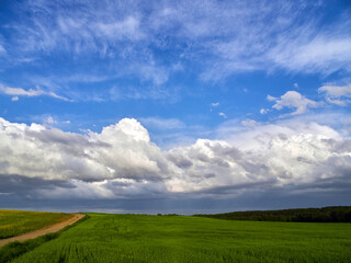 Fototapeta na wymiar Summer landscape with low cumulus clouds, green field and road