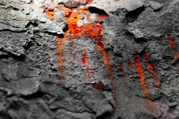 textures of metal sheets with a rusty surface for your design