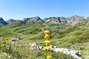 Meadows and mountains festivities in the Portalet mountain pass in the Aragonese Pyrenees bordering...