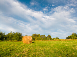 Country scene with single hay roll bale in field against cloudy sky during sunny summer day, cattle fodder over winter time