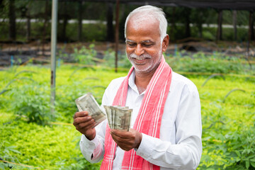 Happy Smiling Indian farmer counting Currency notes inside the greenhouse or polyhouse - concept of...