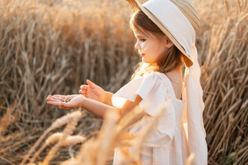little blonde girl in beige muslin dress holds wheat grains in the palm of her hand in wheat field...