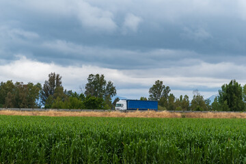 Fototapeta na wymiar Truck driving on a road between trees and cornfields.