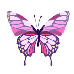 Colorful butterfly on a white background, art. Vector on a white background