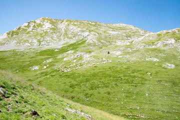 Meadows and mountains festivities in the Portalet mountain pass in the Aragonese Pyrenees bordering the French border