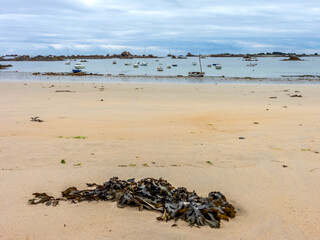 Plage en Bretagne