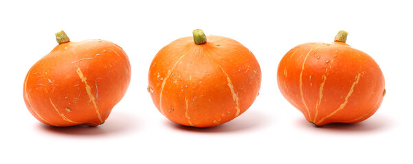 Orange pumpkin on white background 