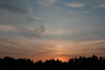 scenic sunset sky with silhouettes of flying birds